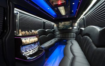 Best Limo Bus Service
