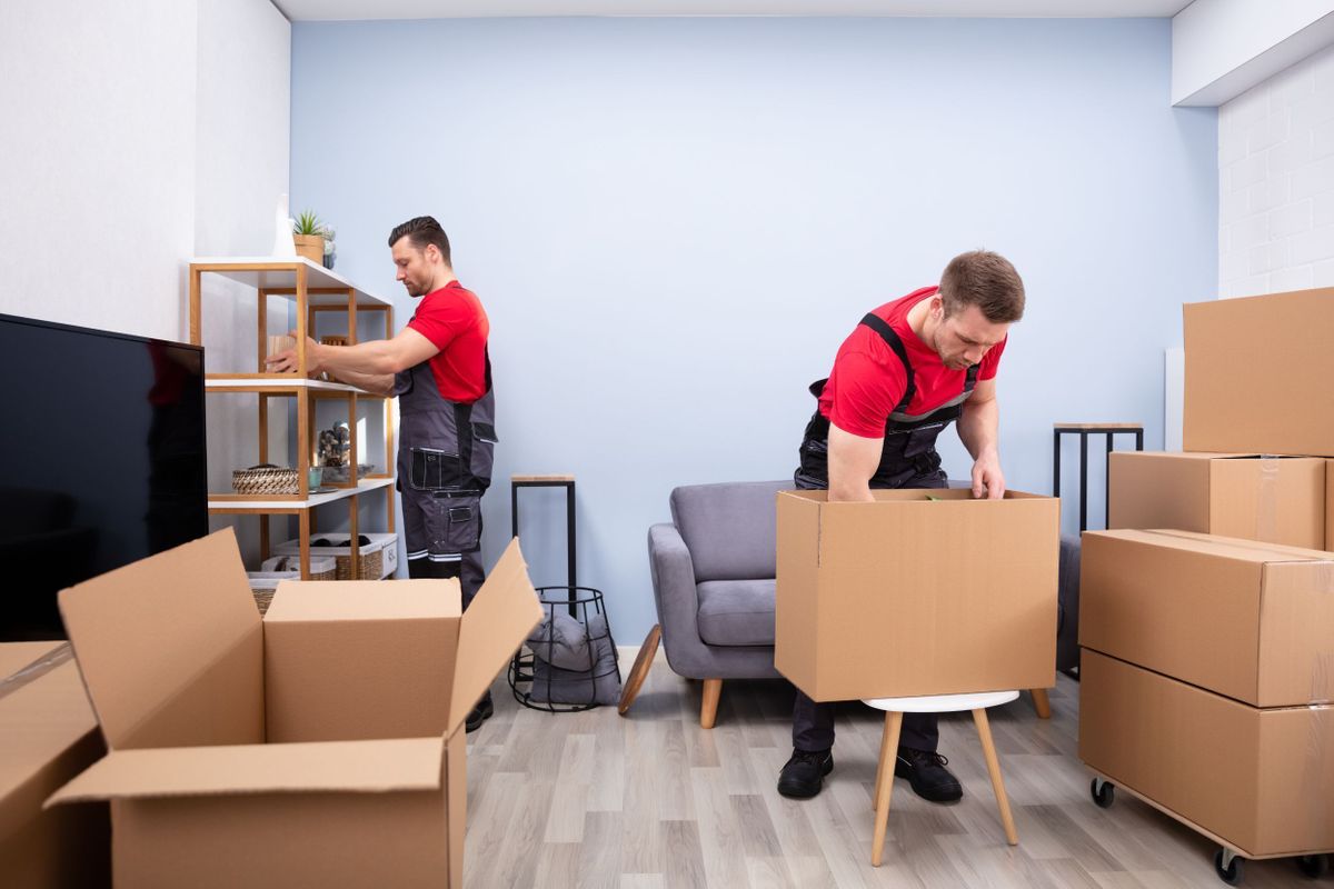 safe ship moving services reviews