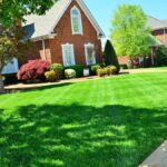 Transform Dull Lawns Into Lush Green Landscapes With Expert Maintenance Services
