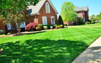 Transform Dull Lawns Into Lush Green Landscapes With Expert Maintenance Services