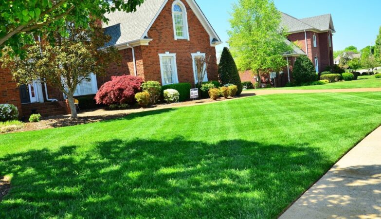 Transform Dull Lawns Into Lush Green Landscapes With Expert Maintenance Services