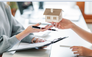 Insider Insights Revealing What Shapes Player Success In Digital Betting Ecosystems