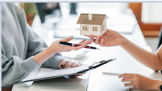 Insider Insights Revealing What Shapes Player Success In Digital Betting Ecosystems